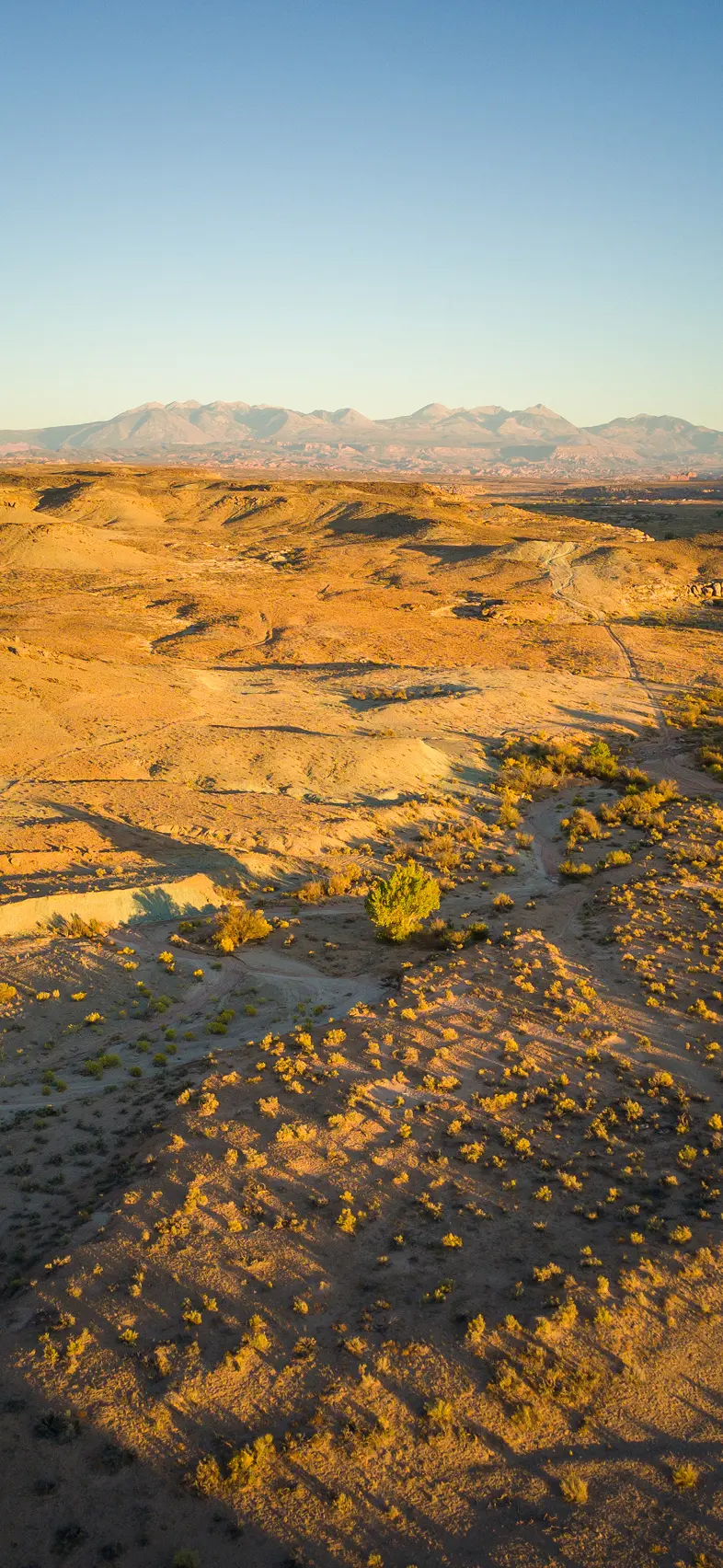 Aerial view of a sunlit desert landscape with rolling hills, sparse vegetation, and distant mountains.